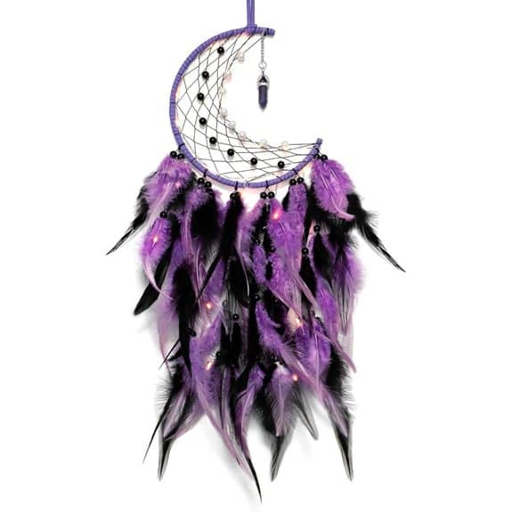 Dremisland Moon Dream Catcher with Fairy Lights