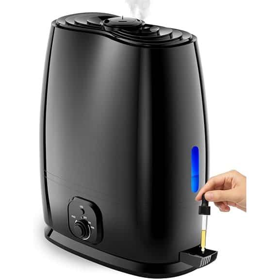 Everlasting Comfort 6L Humidifier for Bedroom